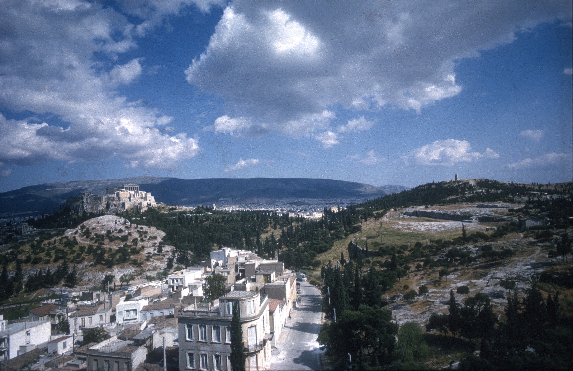 The grey limestone lost its eminent presence in the landscape to the planted trees (American School of Classical Studies at Athens, Agora Excavations, 2004.01.0400 [HAT 64-169]).